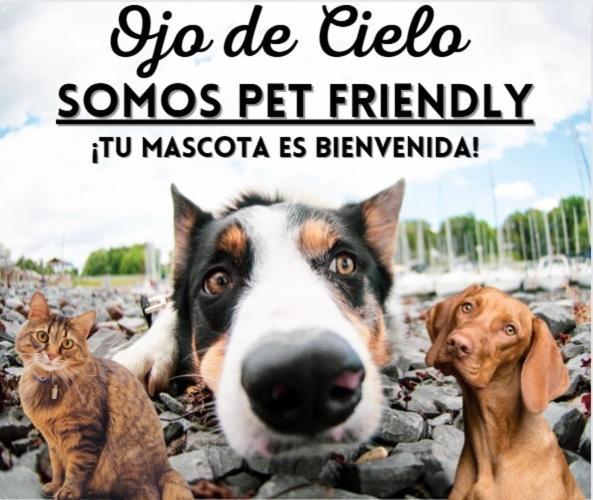 Ojo De Cielo * San Carlos de Bariloche